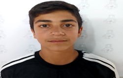 امیر علی ذوالفقاری