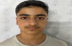 امیر سورنا پور حسنی