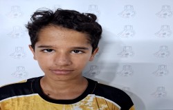 علی رضا ربیعی