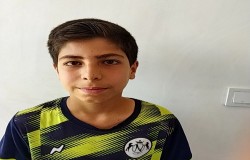 هادی میرمصطفایی