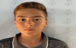 آرتین عرب