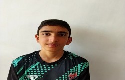 ماهان محمدی