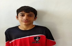 آراد توکلی