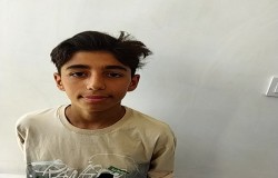 آرتین تجری