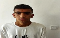 محمد جواد سوری