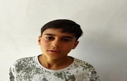آریا قربانی وند
