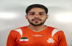 محمد حسین عباسی