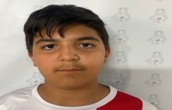 محمد مهدی صادقی