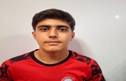 ایلیا محسنی