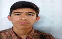 ایلیار جاویدی