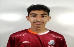 محمدجواد قره سوفلو