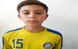 آرین پناهی