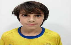آراد افشار