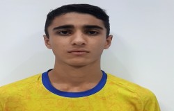 محمدمهدی فهیم