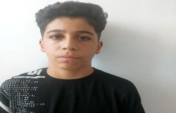 عرشیا آقایی