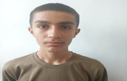 ابوالفضل چگینی