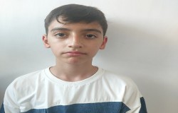 شاهین شارعی
