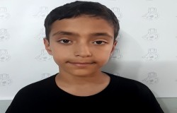 پارسا علیجانی فرد
