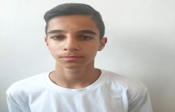 آرین شیری