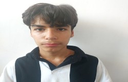 بردیا عربی بور