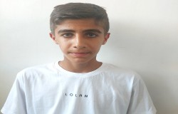 ارتین شیری