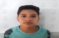 ایلیا رضاپور ارضتی