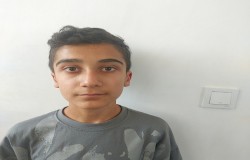 آرشا بهنود
