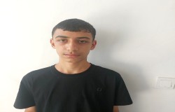 سینا فدائی