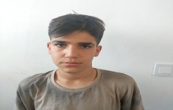 محمدرضا یحیوی