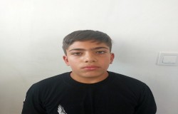 محمد عرشیا صفری