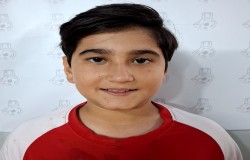 طاها انیشه