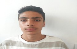 محمدحسام عباسی