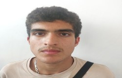 بهراد رهنما