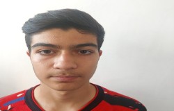 محمد مهدی ندایی مغانلو