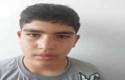 عرشیا قارلقی