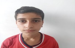 امیر حسین فیروز ابادی تپه