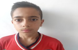 علی قارلقی