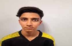 امیرمهدی شاملو