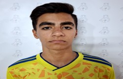 محمدامین غلامی