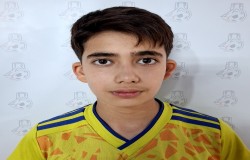 محمد مهدی اکرمی