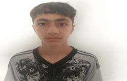 امیر حسام تیموری نیا