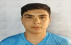 فرزین اکبری مستان آباد