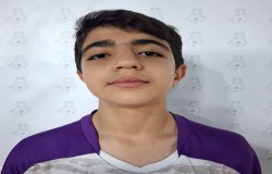 امیر مهدی فولادی