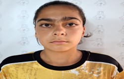 فهام شاهپسندی