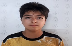 آرین حسن نایب