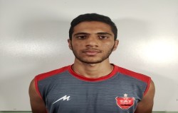 محمد مهدی بیگدلی