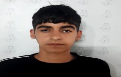 علی ارجمند