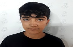 ایلیا غلامی