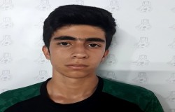 هانی هاشمی
