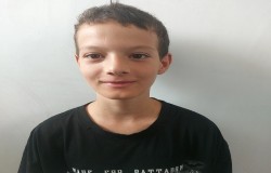 پارسا فیل سرائی